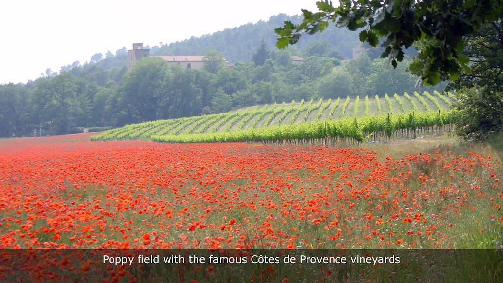 Lou Paradou Greoux-les-Bains ภายนอก รูปภาพ