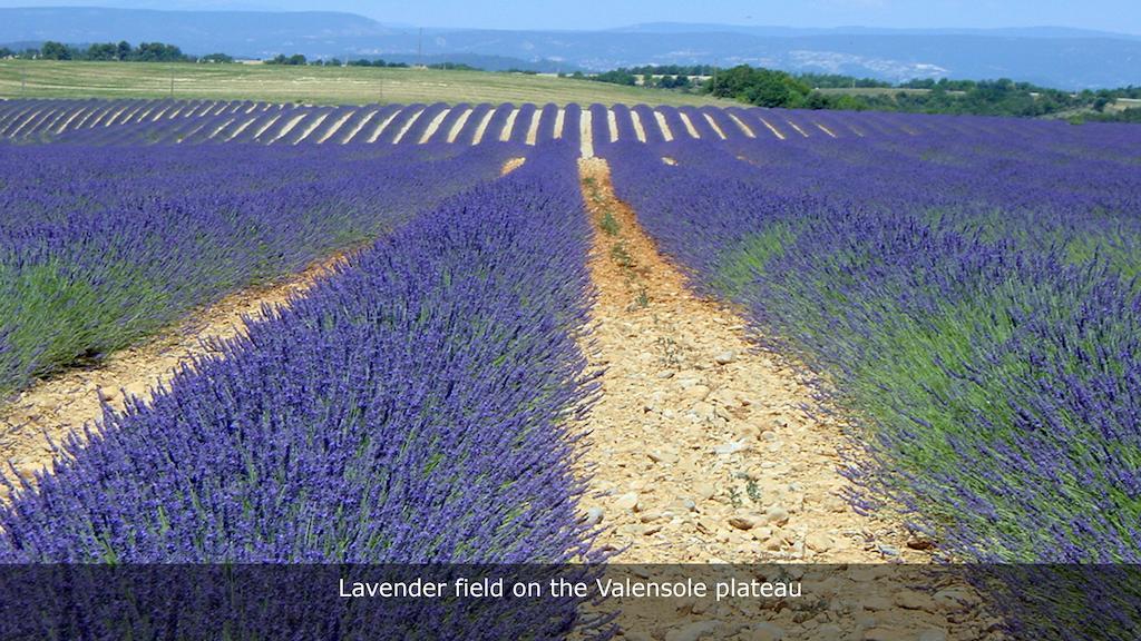 Lou Paradou Greoux-les-Bains ภายนอก รูปภาพ